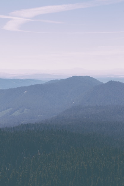 Luchtfoto van prachtige heuvels en bomen