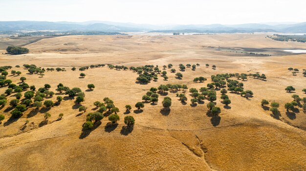 Luchtfoto van prachtige heuvels