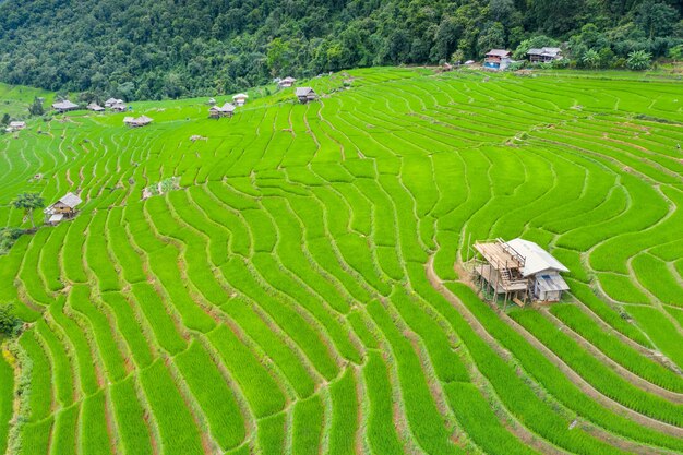 Luchtfoto van rijstterras bij Ban Pa Bong Piang in Chiang Mai, Thailand