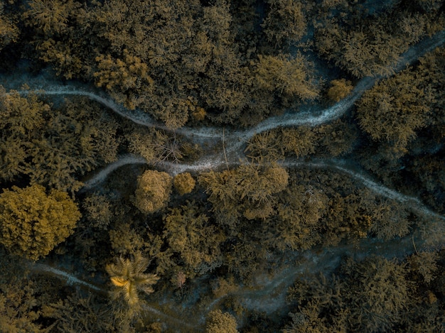 Gratis foto luchtfoto van traject in het midden van bos met groene bomen
