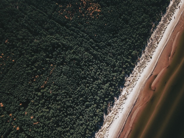 Gratis foto luchtfoto