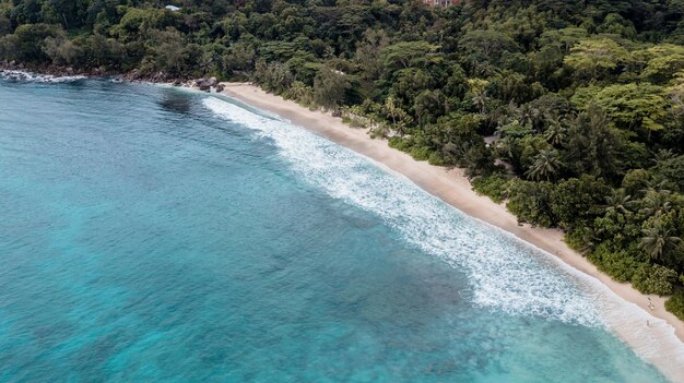 luchtfotografie prachtige kust van de oceaan