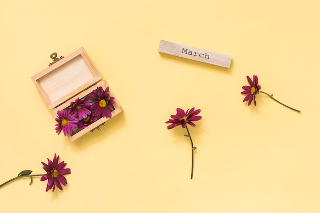 Maart-inscriptie met roze bloemen op tafel