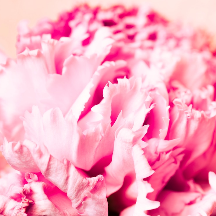 Gratis Foto macro tropische fruittextuur