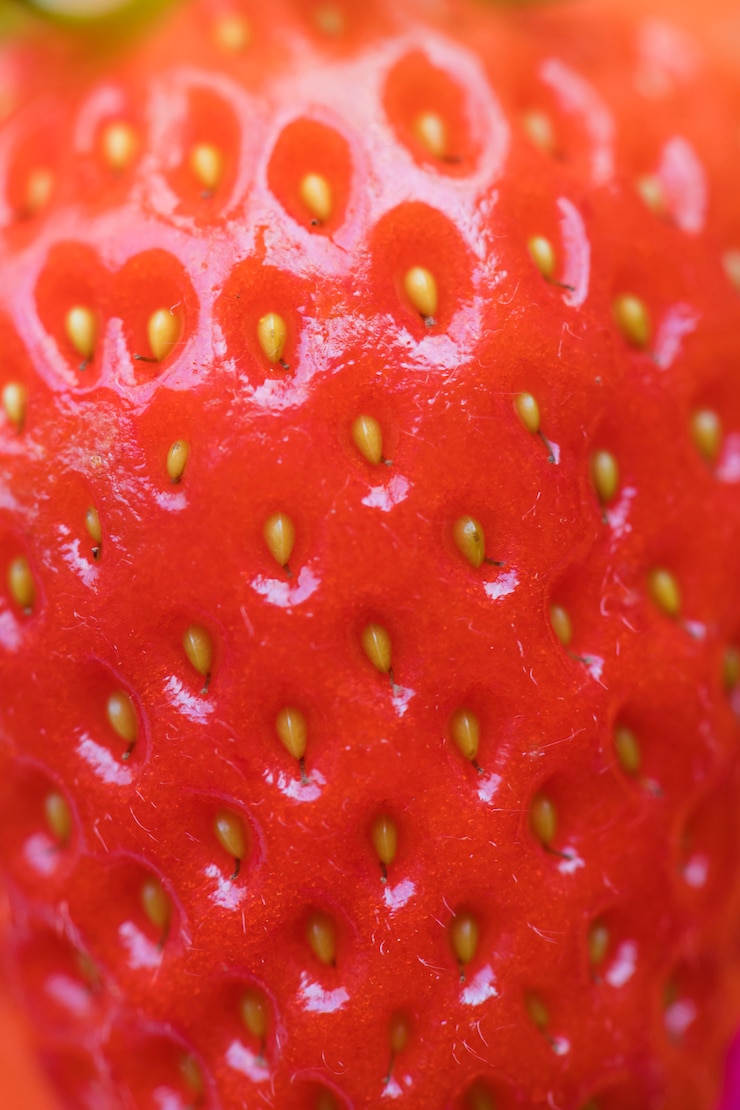 Gratis Foto macro van yummy aardbeiachtergrond