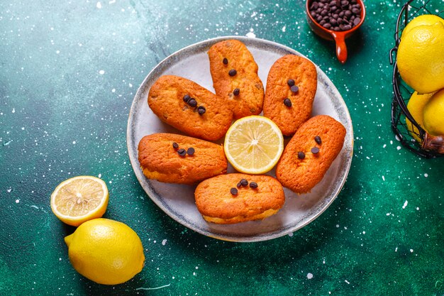 Gratis foto madeleine - zelfgemaakte traditionele franse kleine koekjes met citroen en chocoladeschilfers.