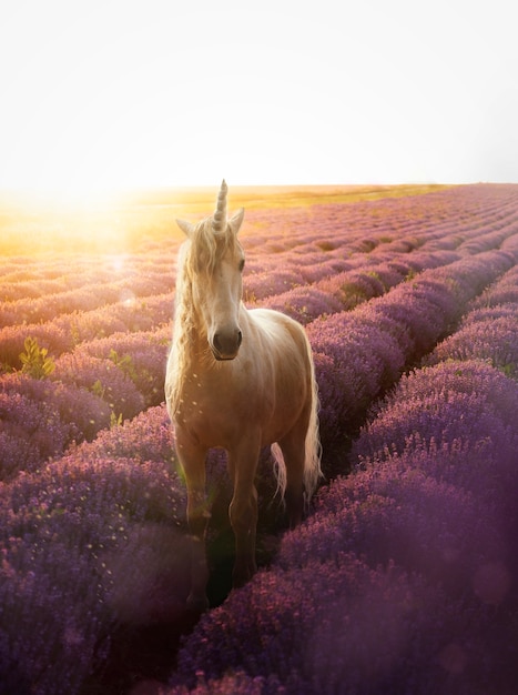 Magische eenhoorn in natuurlandschap