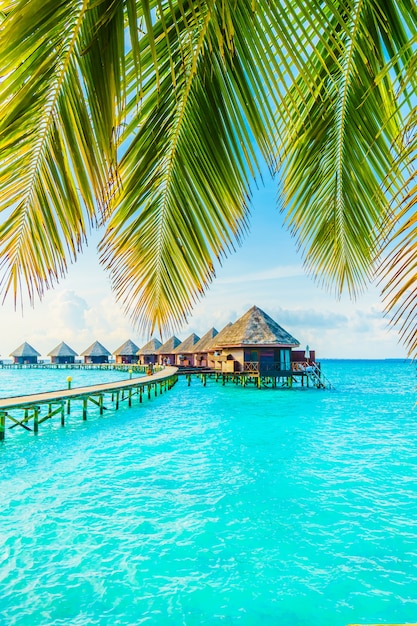 Gratis foto maldiven eiland