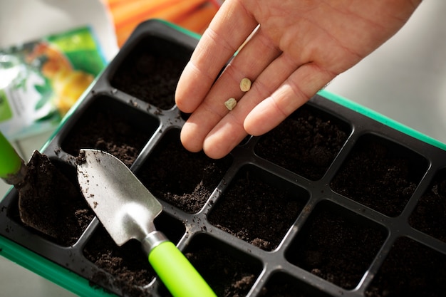 Man cultiveert en kweekt planten in een binnentuin