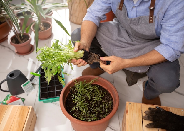 Gratis foto man die binnen planten kweekt en cultiveert