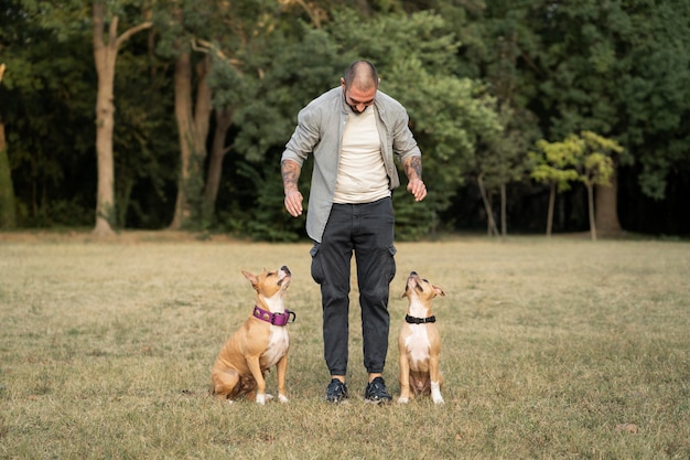 Gratis foto man die zijn pitbullhonden traint