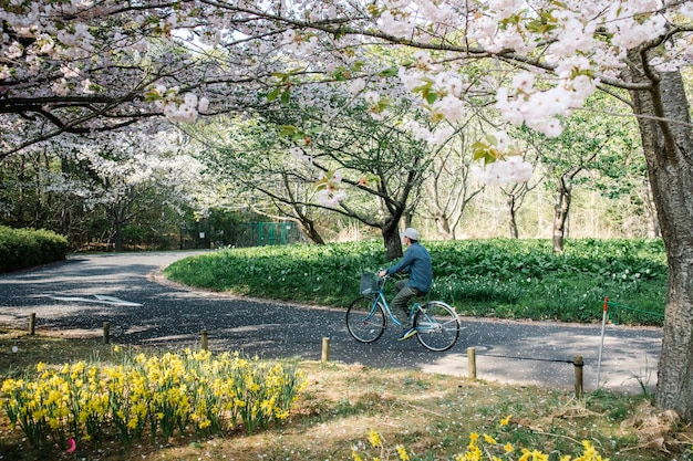 man in fiets op weg in sakura park