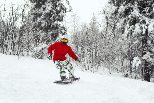 Man in rode ski-jack daalt op de snowboard langs het bos