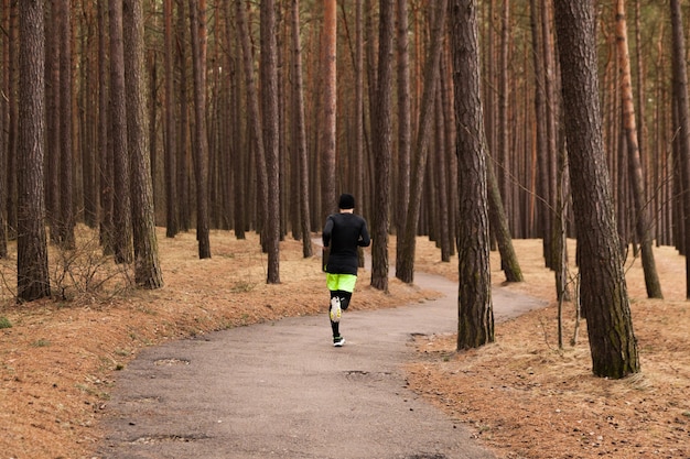 Gratis foto man joggen in het bos