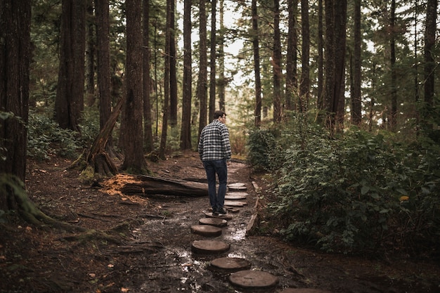 Gratis foto man lopen in het bos