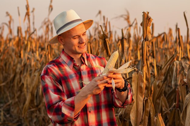 Man met een flanellen hemd die maïs plukt op een prachtig korenveld bij zonsondergang