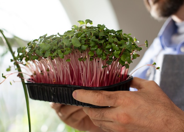 Man met planten die binnenshuis zijn gekweekt en gekweekt