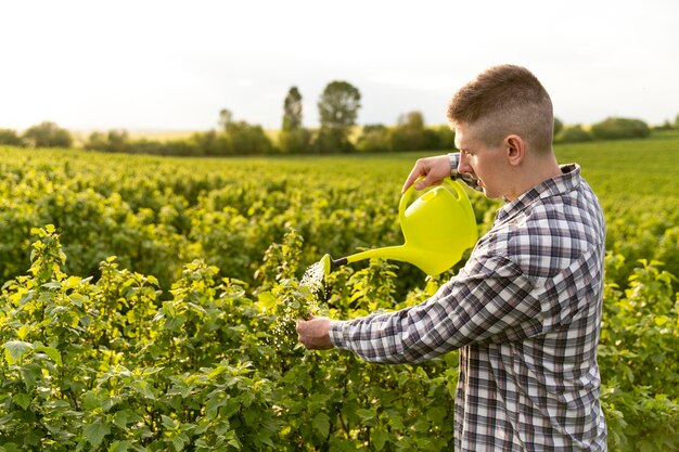 Man planten water geven