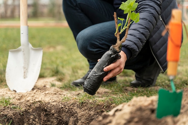 Man plating in de grond een kleine boom