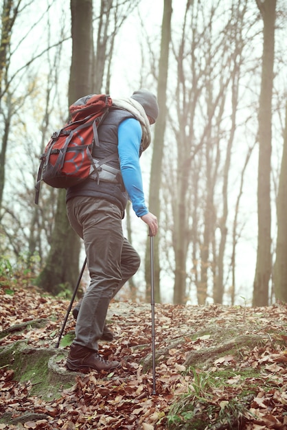 Man wandelen in het herfstbos