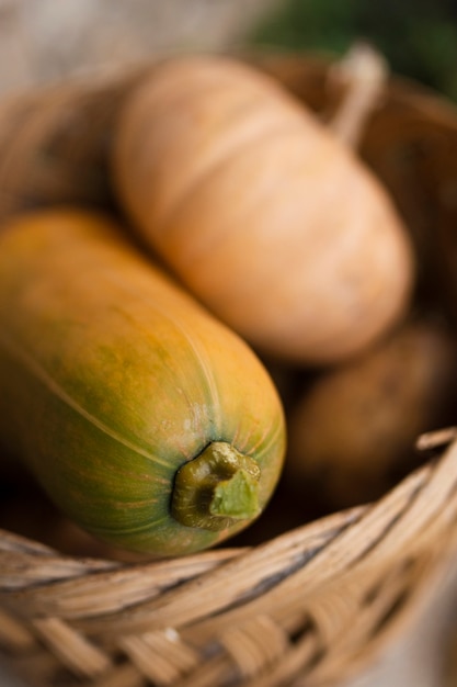 Mand met grote tuinpompoenen