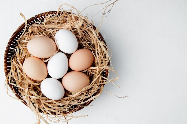 mand vol eieren in nest op witte tafel