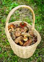 Gratis foto mandje met vers geplukte champignons