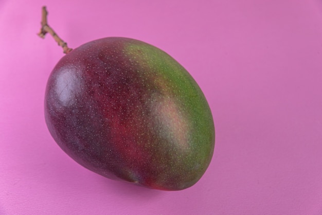 Mango op het roze oppervlak