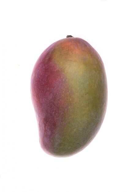 Mangofruit over wit wordt geïsoleerd dat