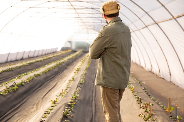 Mannelijke boer inspecteert plantgewassen op zijn boerderij