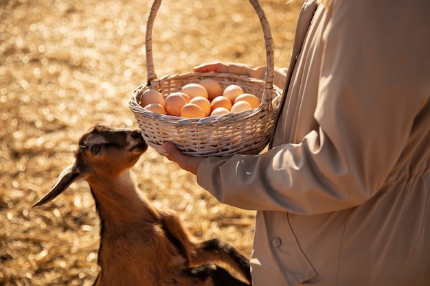 Mannelijke boer met mand met eieren van zijn boerderij