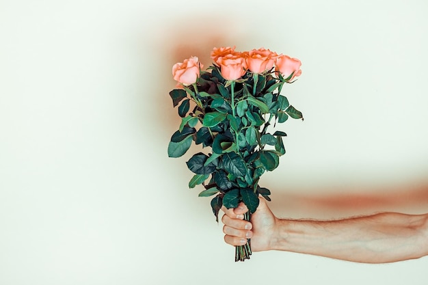 Mannelijke hand die romantisch boeket van tedere roze rozen op pastelgele achtergrond houdt