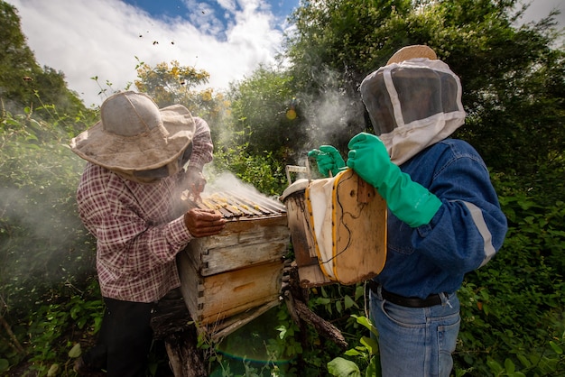 Mannen bijenteelt honing verzamelen met maskers
