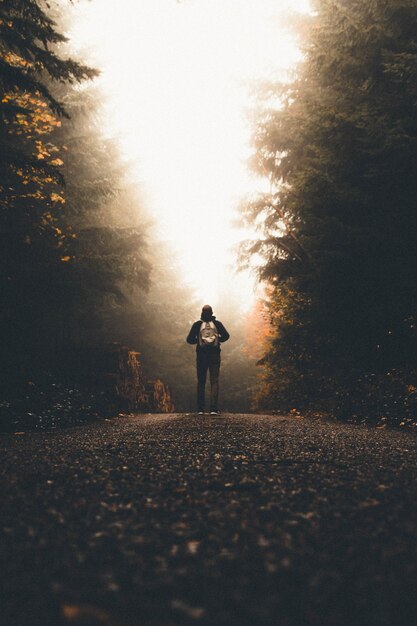 Mannetje met een rugzak die op een pad tussen hoge dikke bomen naar het licht kijkt