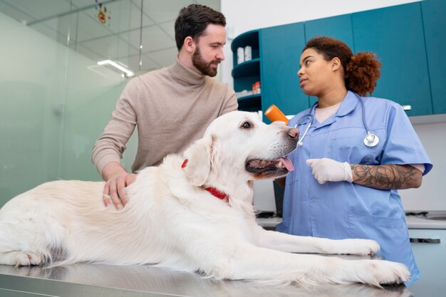 Medium shot smileyhond bij dierenartskliniek