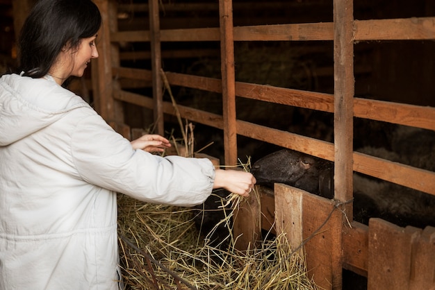 Medium shot smileyvrouw die schapen voert