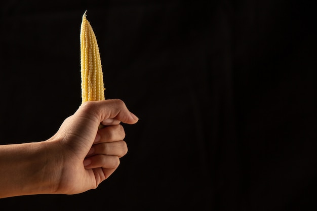 Meisje hand met maïs