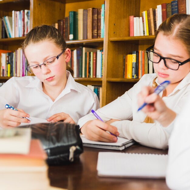 Meisjes die thuiswerk in voorbeeldenboeken bij bureau doen