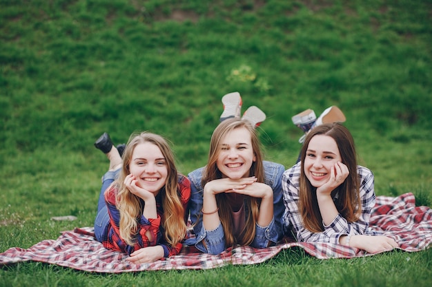 Meisjes op een picknick