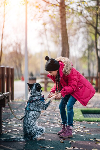 Meisjeskind het spelen met hond in de herfst zonnig park, bladdaling