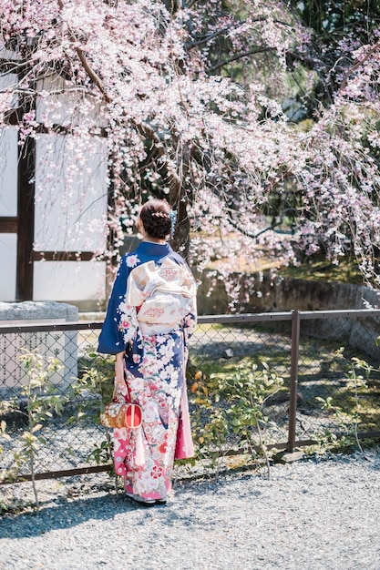 meisjesvrouwen in kimono en sakura boom
