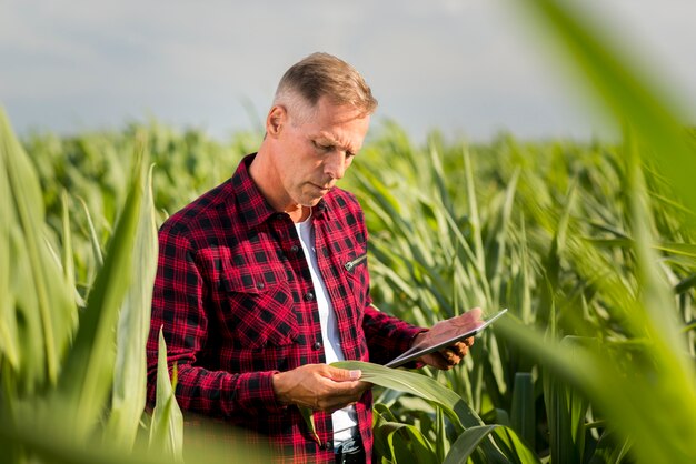 Mens die aandachtig een graanblad inspecteert