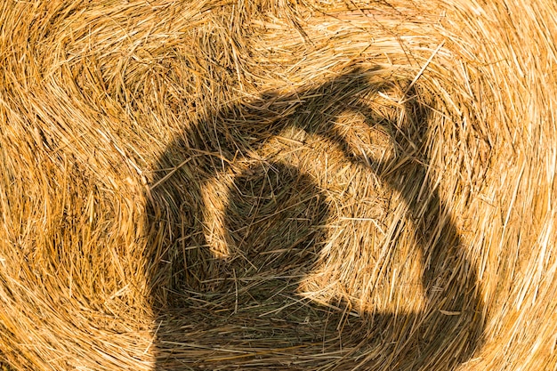 Menselijk silhouet op rol van hays