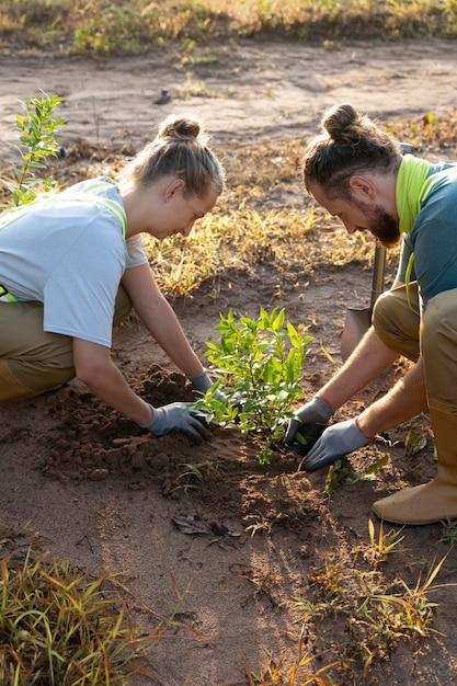 Mensen die bomen planten op het platteland