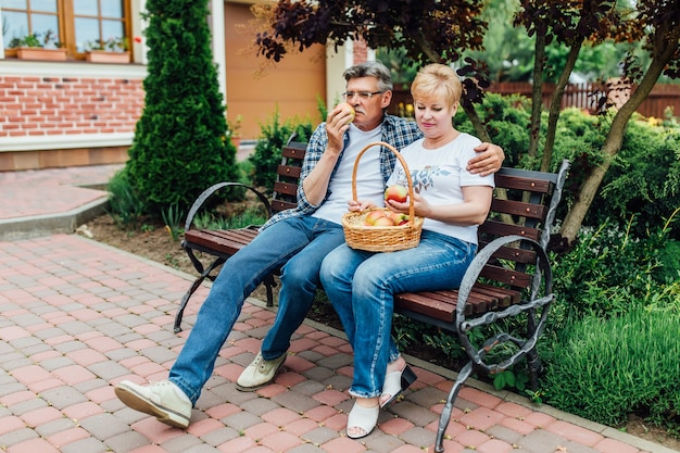 Mensen met mand appels plukken. Bejaard tuinmannenpaar. Heerlijk begrip.