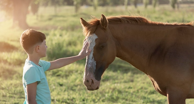 Middelgroot geschoten kind dat paard aait