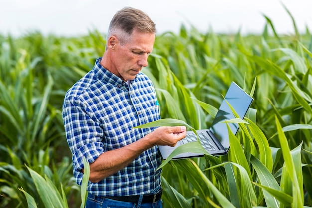 Middenmeningsmens die een graanblad inspecteert