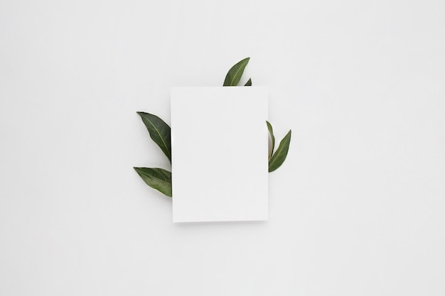 Minimale compositie met een blanco papier met groene bladeren, bovenaanzicht