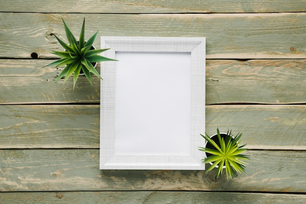Minimalistisch wit frame omgeven door planten