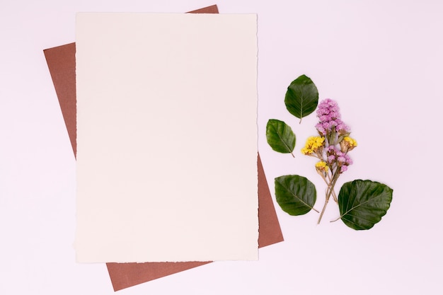 Gratis foto minimalistische arrangement met bloem en bladeren